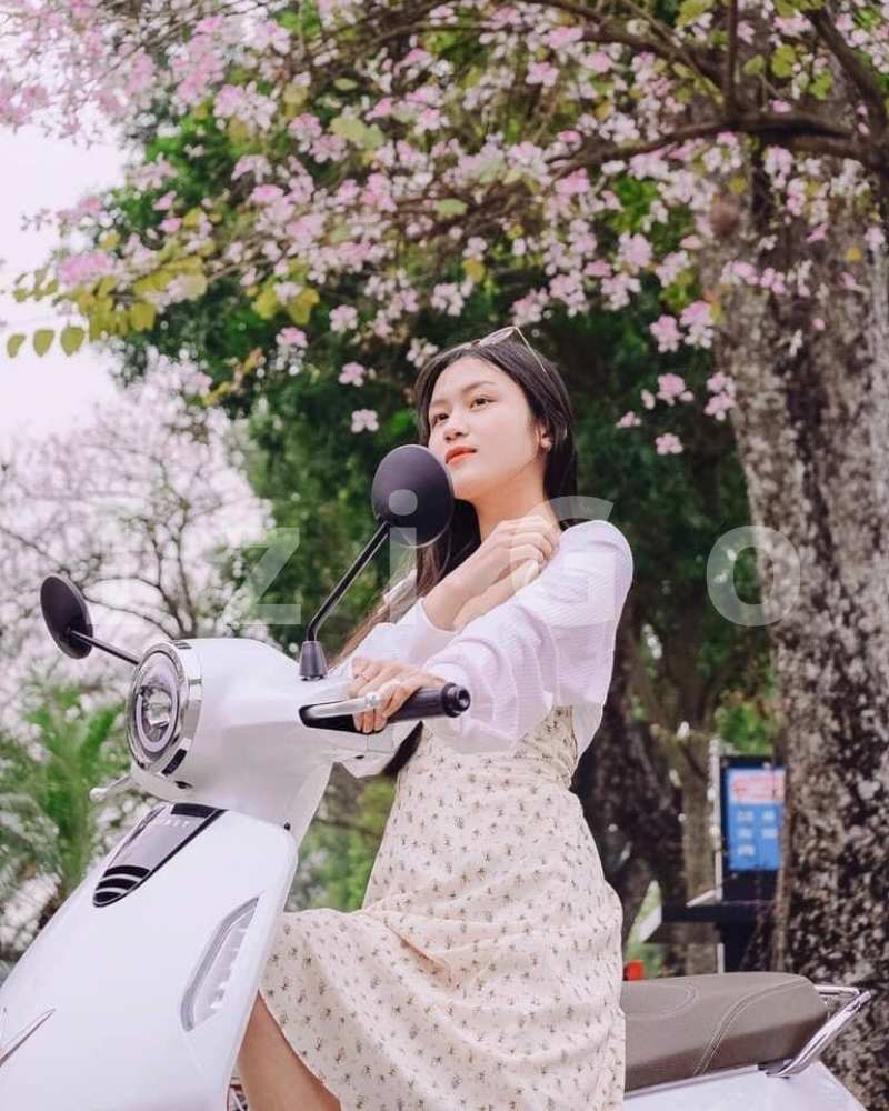 Thuê xe máy điện Hà Nội khám phá các địa điểm đẹp
