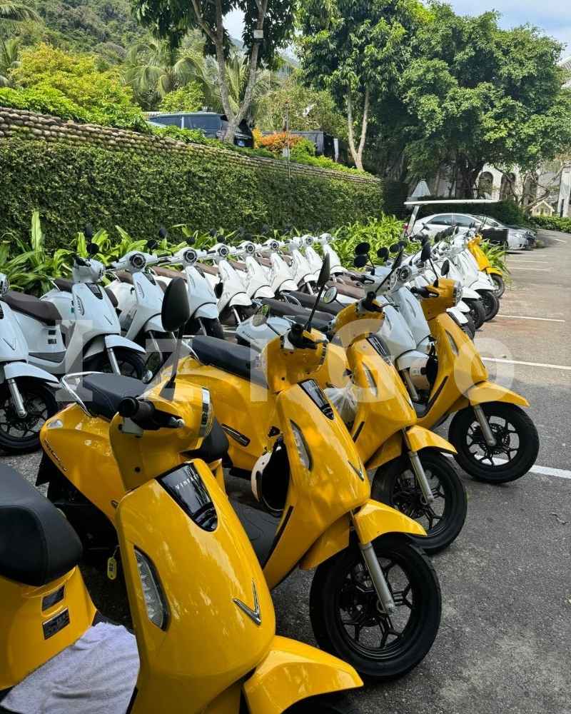Khám phá Đà Nẵng bằng xe máy điện