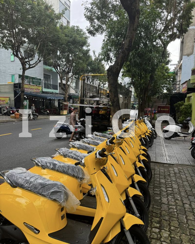 xu hướng thuê xe điện đi du lịch