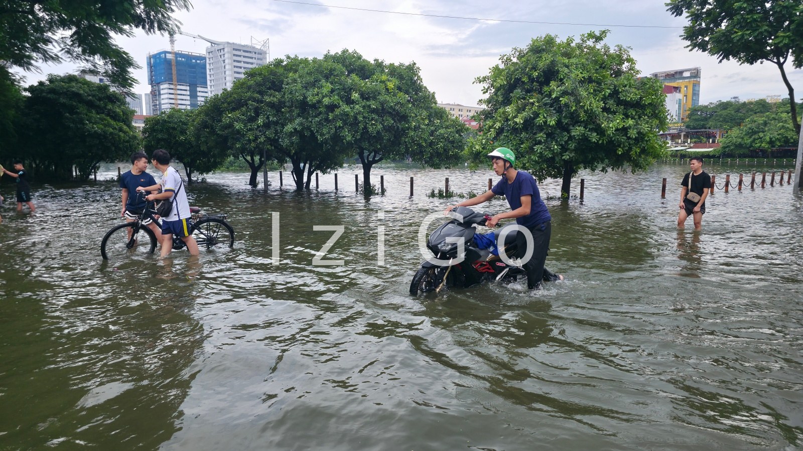 Duong ngap sau mua lon