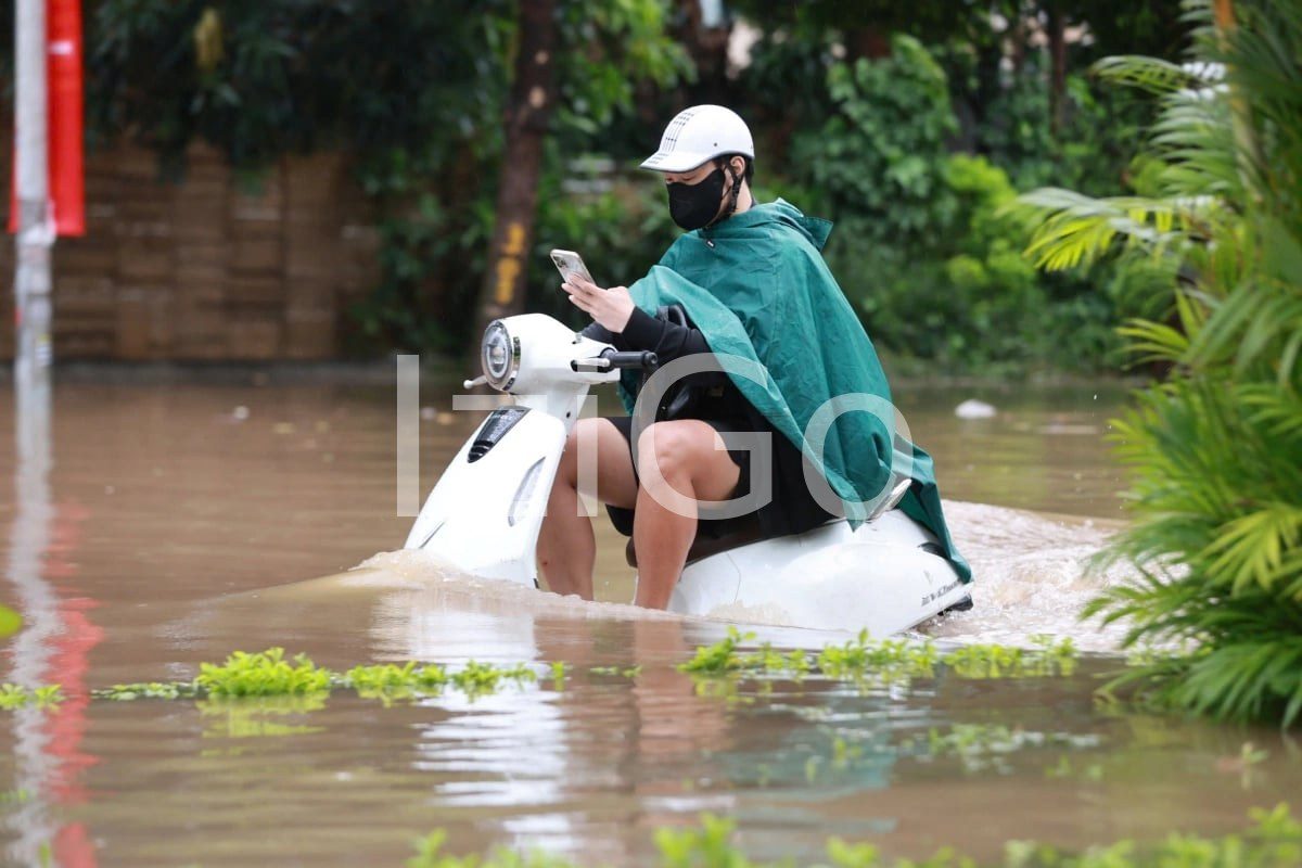 "Thuê Xe Máy Điện Thay Thế Khi Xe Bị Ngập Nước 2026: Đi Lại Không Gián Đoạn"